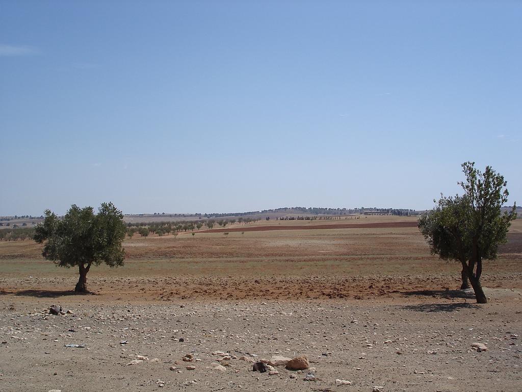 ZEGLA LA FERME FAKROUNIA 2006 LA FERME 00 LA CAMPAGNE.JPG -                                